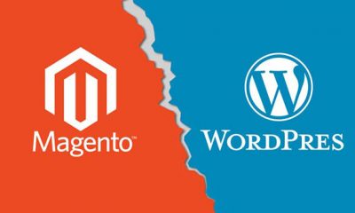 Why choose Magento