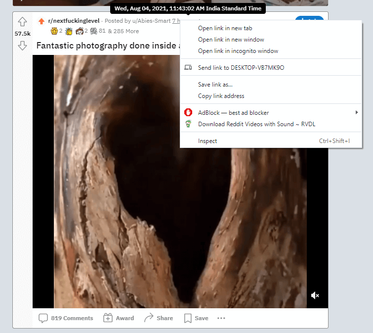 Select Download Reddit Videos option