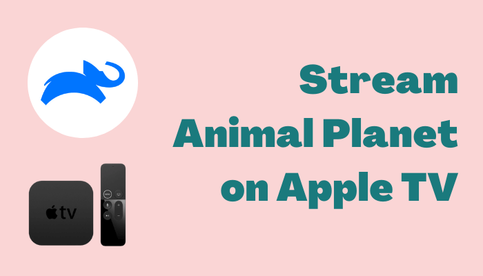 How to Stream Animal Planet on Apple TV - Tech Follows