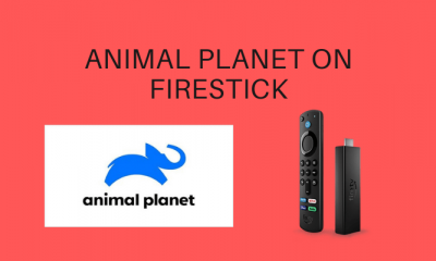 Animal Planet on Firestick