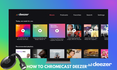 How to Get Deezer on Firestick to Play Music - 32