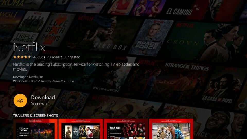 click download to install and activate netflix 