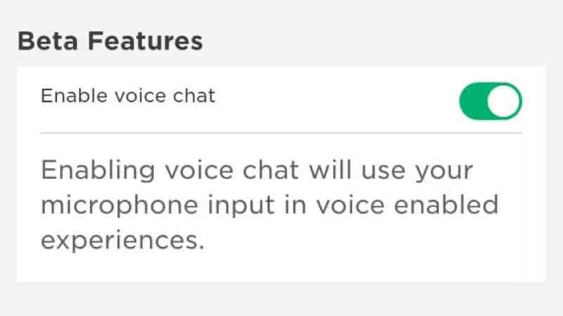 activate voice chat on Roblox