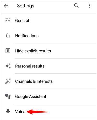 choose voice section to activate ok google 