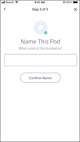 type the name of the Pod