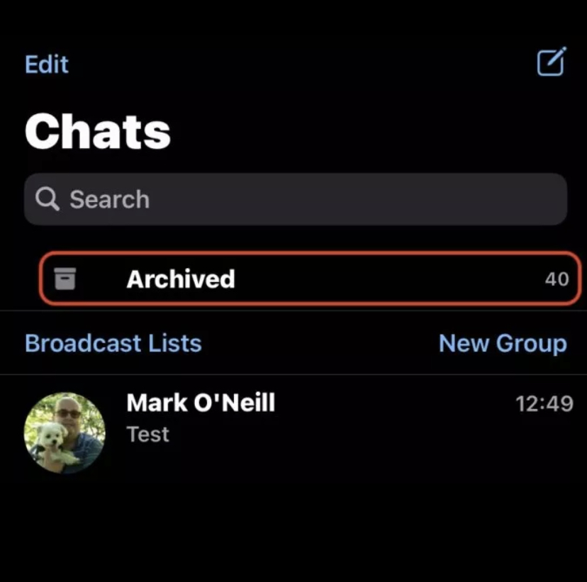 How to Unarchive WhatsApp Chat on Android and iPhone - 18