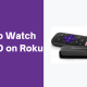 How to Watch USTVGO on Roku