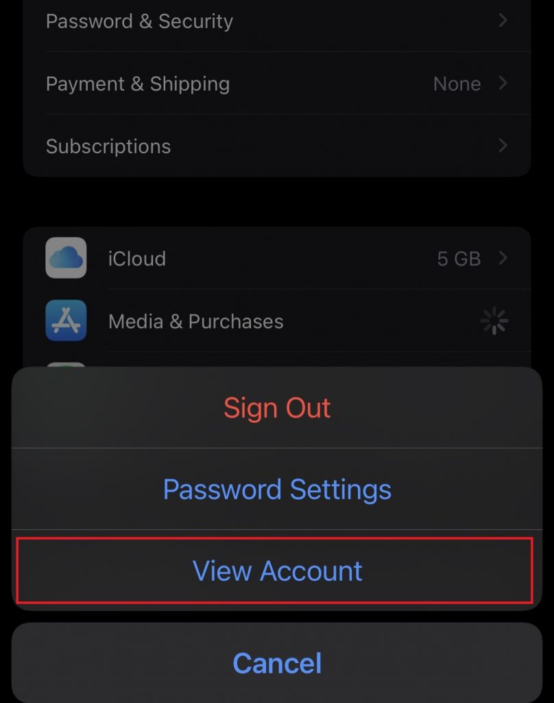 Tap on View account to cancel your subscription from iPhone
