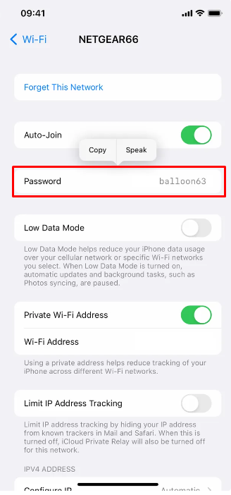 Click on Password to find Wi-Fi password on iPhone