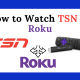Watch TSN on Roku