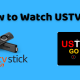 USTVGO on Firestick