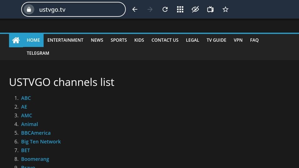 Stream USTVGO on Firestick