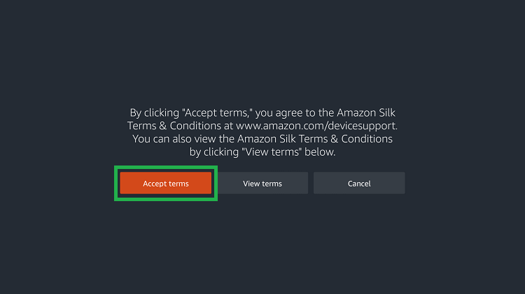 Accept the terms to stream USTVGO on Firestick