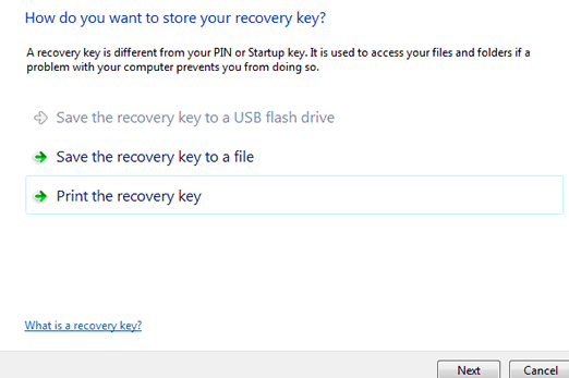 Choose Print the recovery key