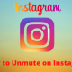 How to Unmute on Instagram