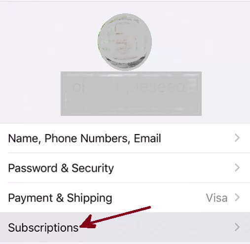  select Subscription under iphone