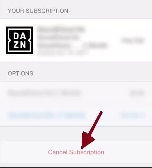 Hit cancel subscription on iphone