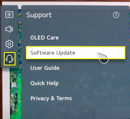 Choose Software update option