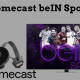 Chromecast BeIN Sports