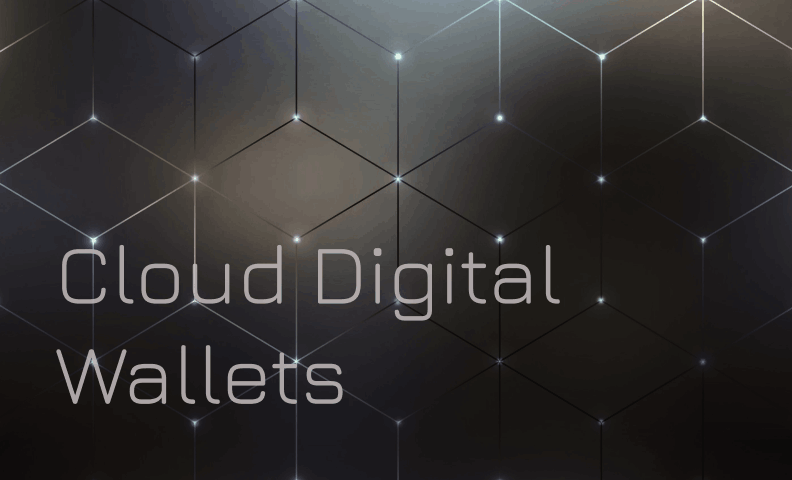 Cloud Digital Wallets for Small Businesses