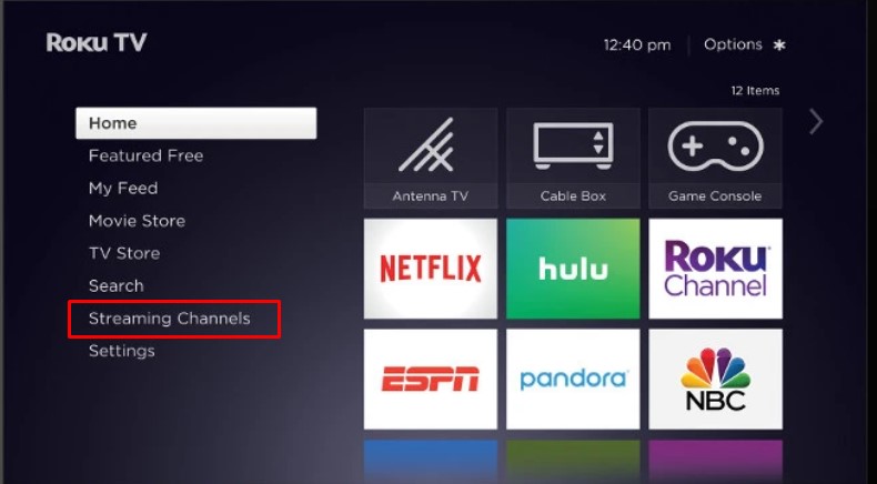 Roku home screen