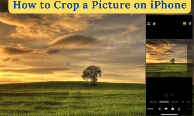How to Crop a picture on iPhone