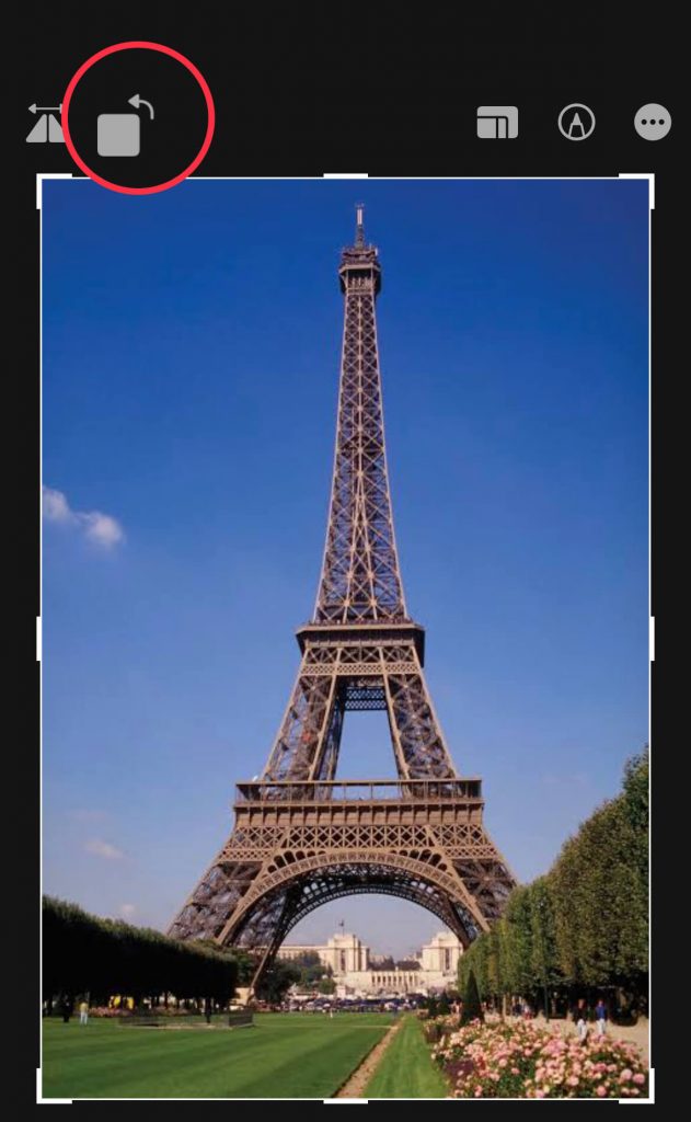 How to Crop a Picture on Your iPhone iPad - 51