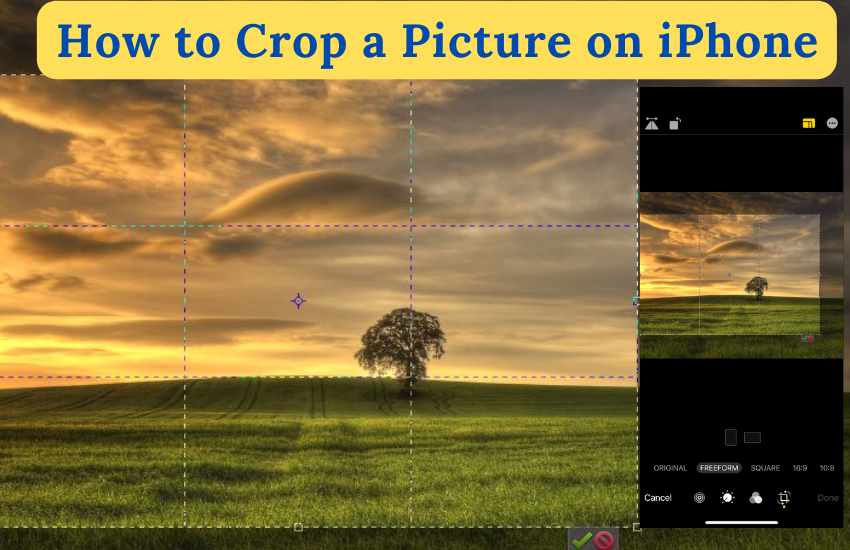 How to Crop a picture on iPhone