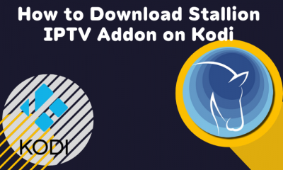 Download Stallion IPTV Addon on Kodi