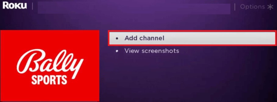 Hit Add Channel option to watch Bally Sports on Roku device