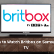How to Stream BritBox on Roku - 35