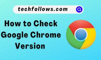 Check Google Chrome Version