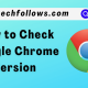 Check Google Chrome Version