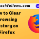 Clear Browsing History on Firefox