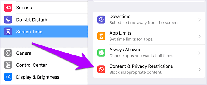 Screen Time option in iPhone/iPad