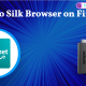 Silk Browser on Firestick