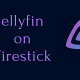 Jellyfin on Firestick.