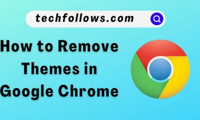 remove Chrome themes