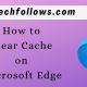 Clear Cache on Microsoft Edge