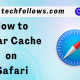 Clear Cache on Safari