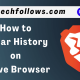Clear History on Brave