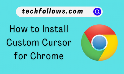 Custom Cursor for Chrome
