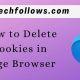 Delete Cookies in Edge Browser