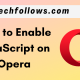 Enable JavaScript on Opera