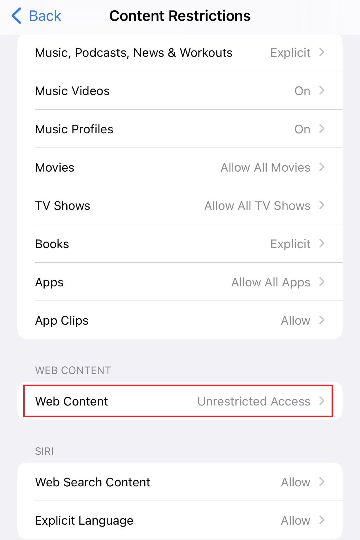 Tap on Web Content under Content Restrictions 