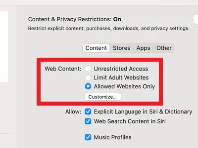 choose Allowed Websites Only and block remaining websites on Safari