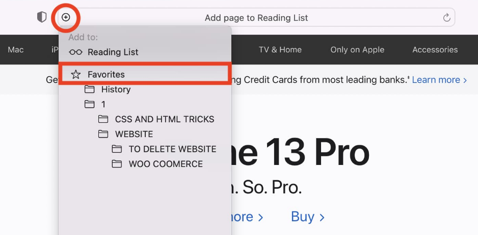 One-step add button on Safari to add Google as favorites