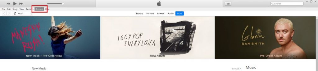 iTunes on Windows