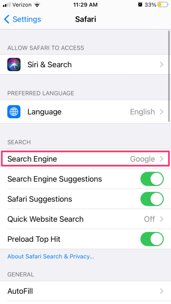 Search Engine on Safari iPhone