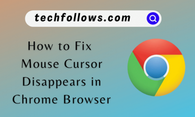 How to Fix Mouse Cursor Disappears in Chrome Browser